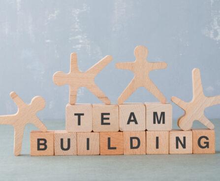 Effective Team Building